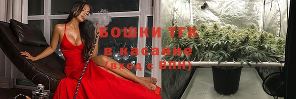 дмт Аркадак