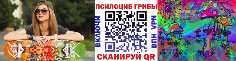 Псилоцибиновые грибы Psilocybine cubensis  закладки  Протвино 